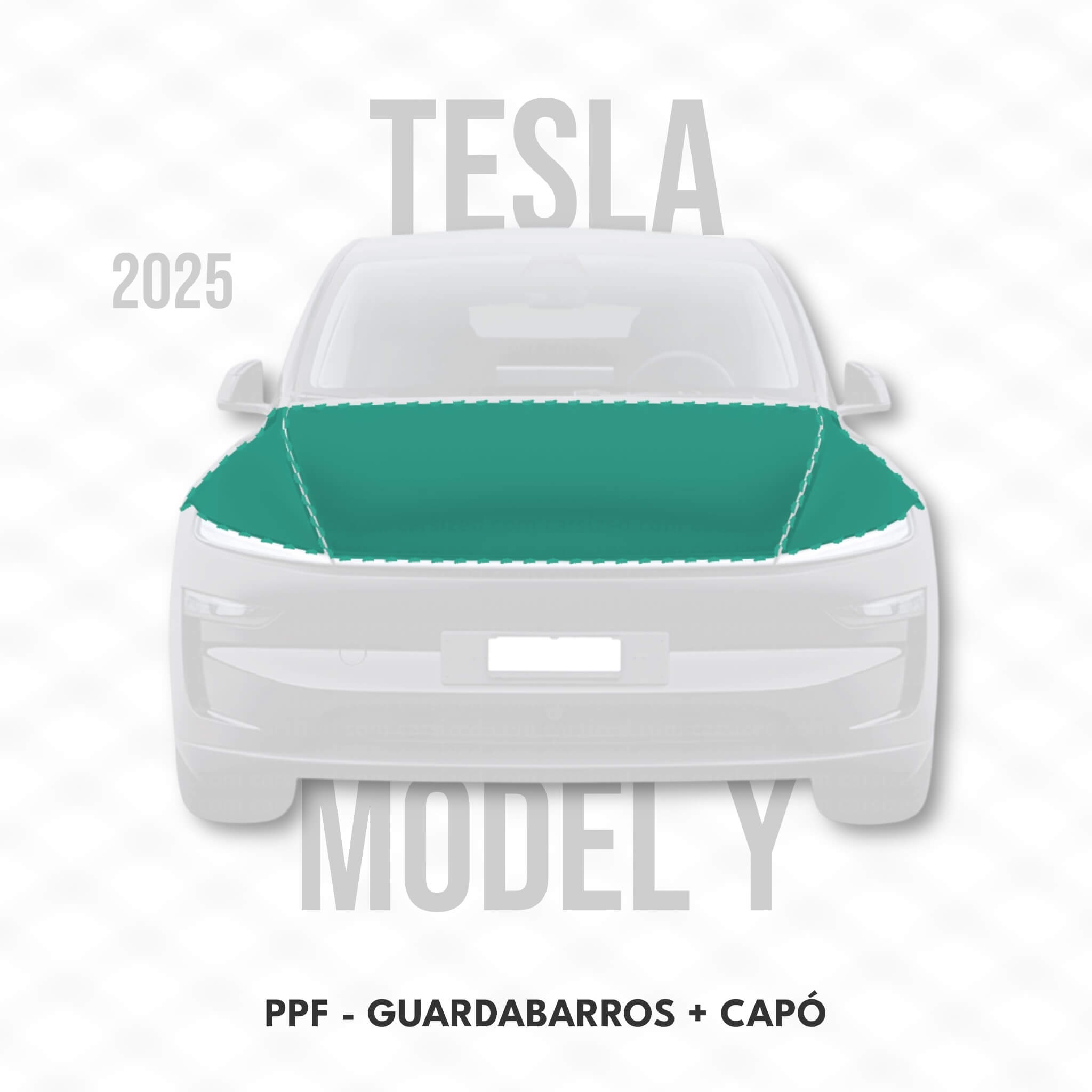 Tesla Model Y - PPF - CAPÓ + GUARDABARROS