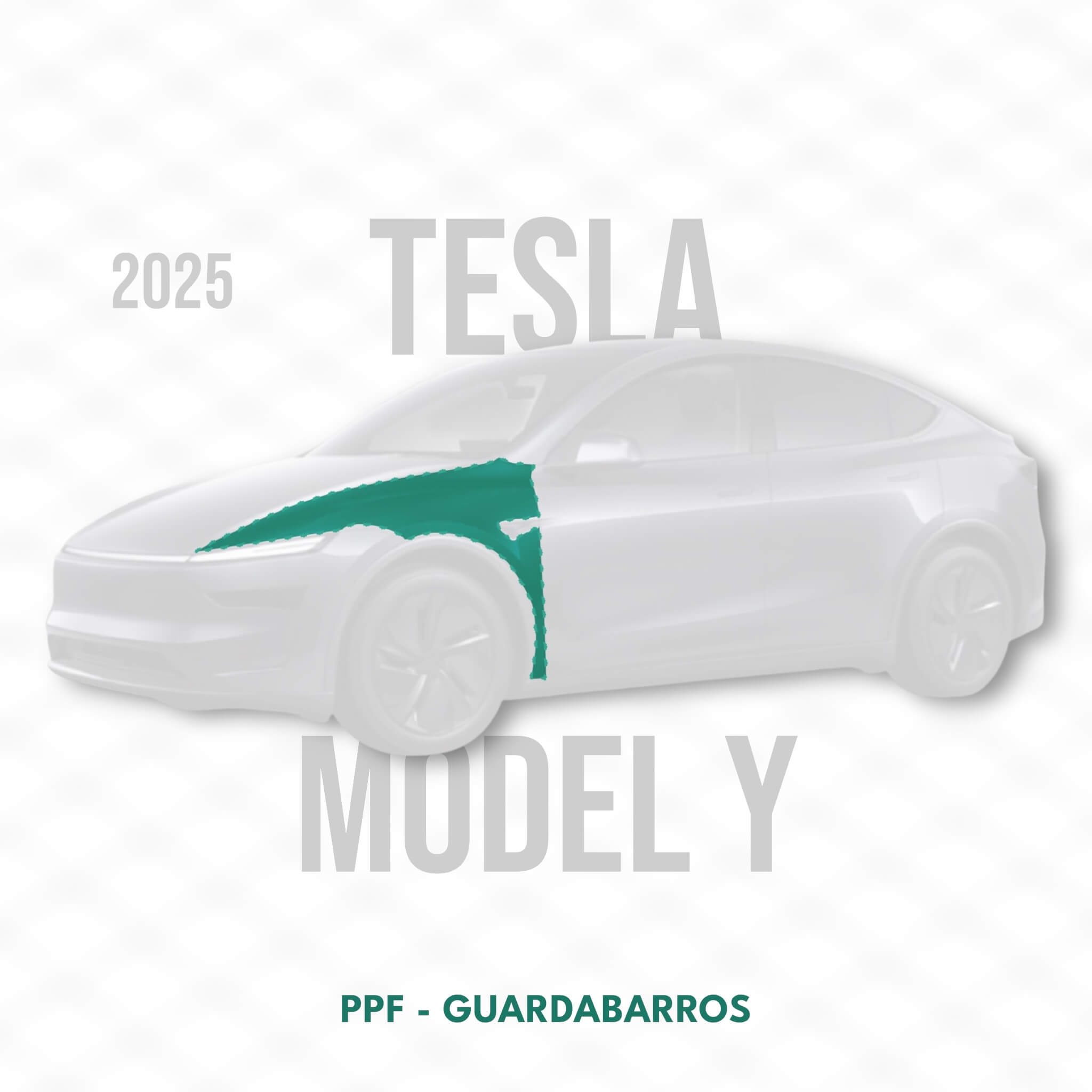 Tesla Model Y - PPF - GUARDABARROS