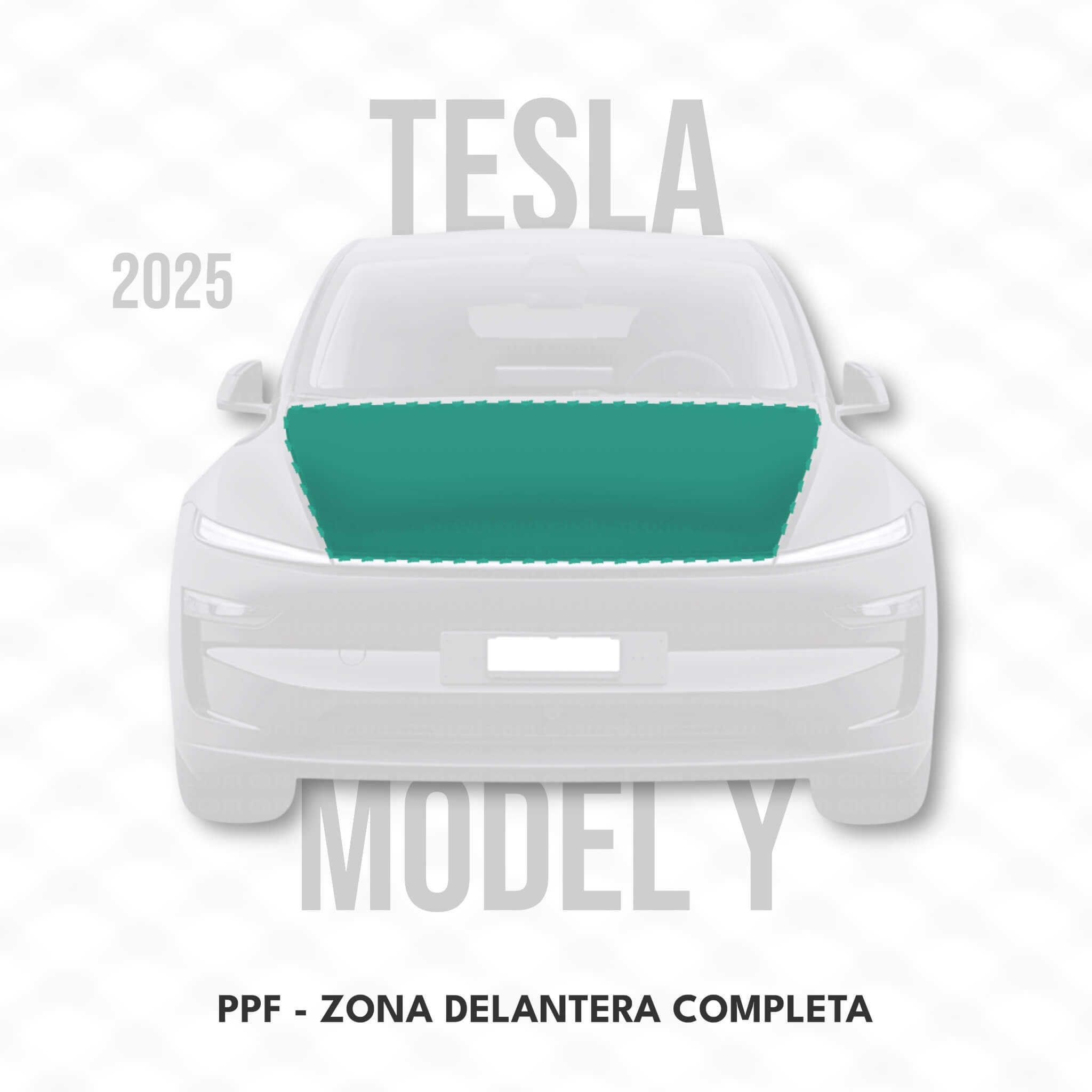 Tesla Model Y - PPF - CAPÓ