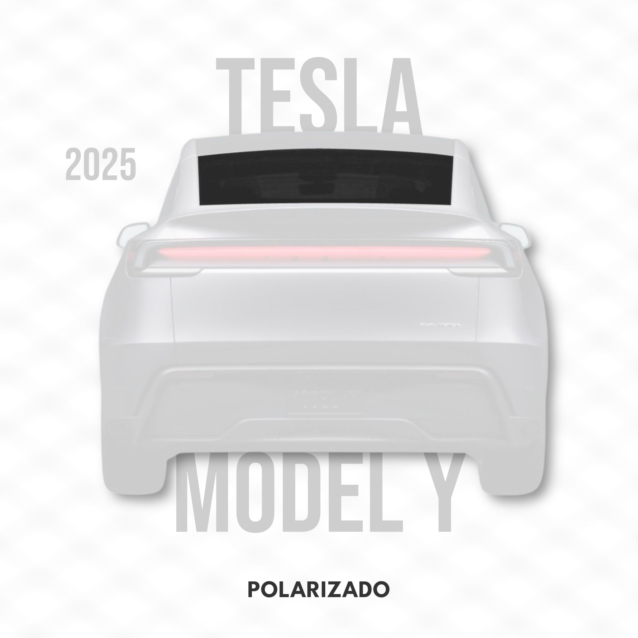 Tesla Model Y - POLARIZADO