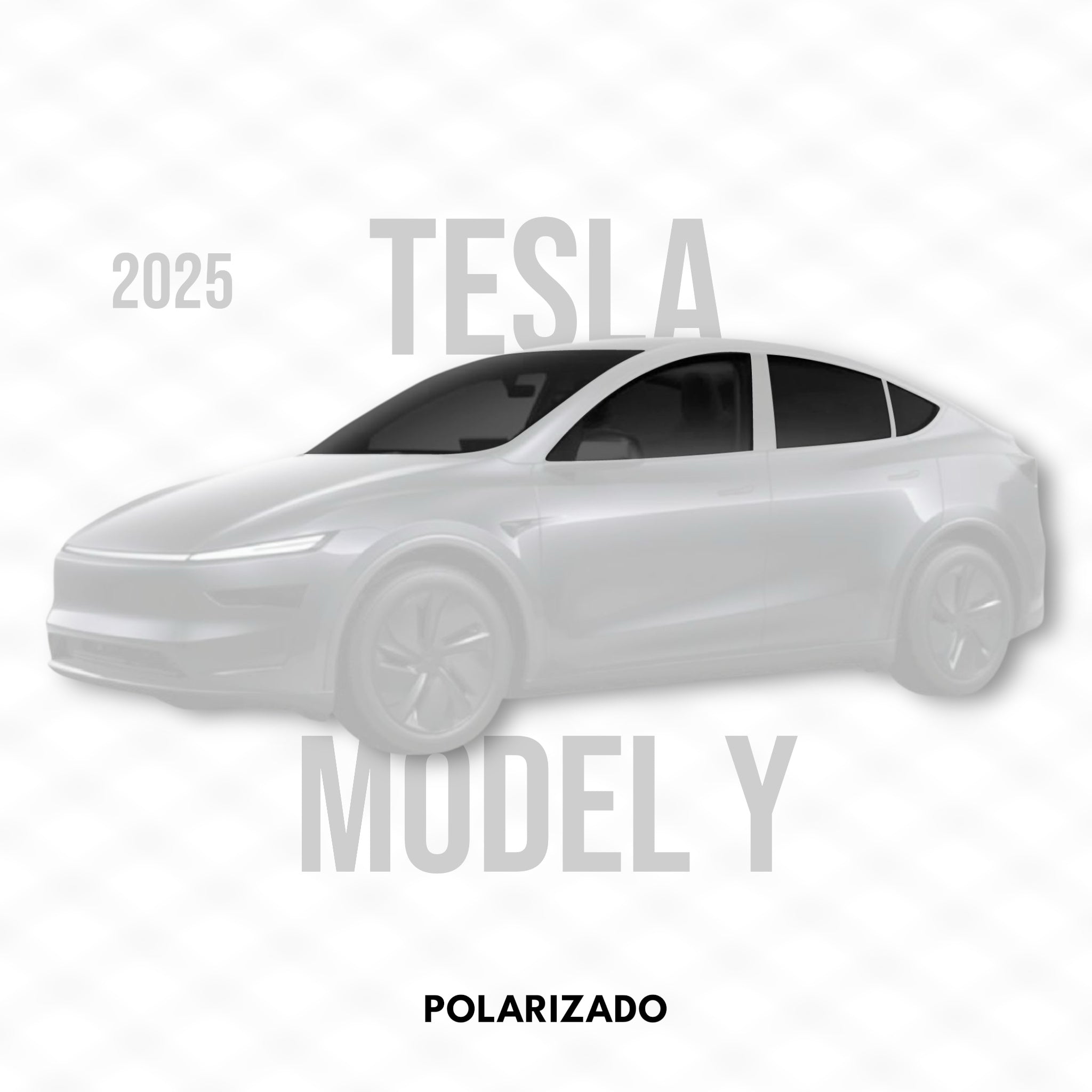 Tesla Model Y - POLARIZADO